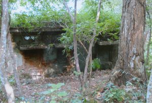 Back side of Quiz Building, moving uphill 8 Oct 2007