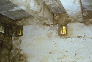 Dog Patch Building 1