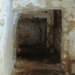 Dog Patch Building 8