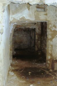 Dog Patch Building 8