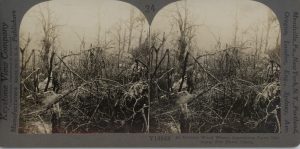 In Belleau Wood Where Americans gave Germany Her Fatal Check