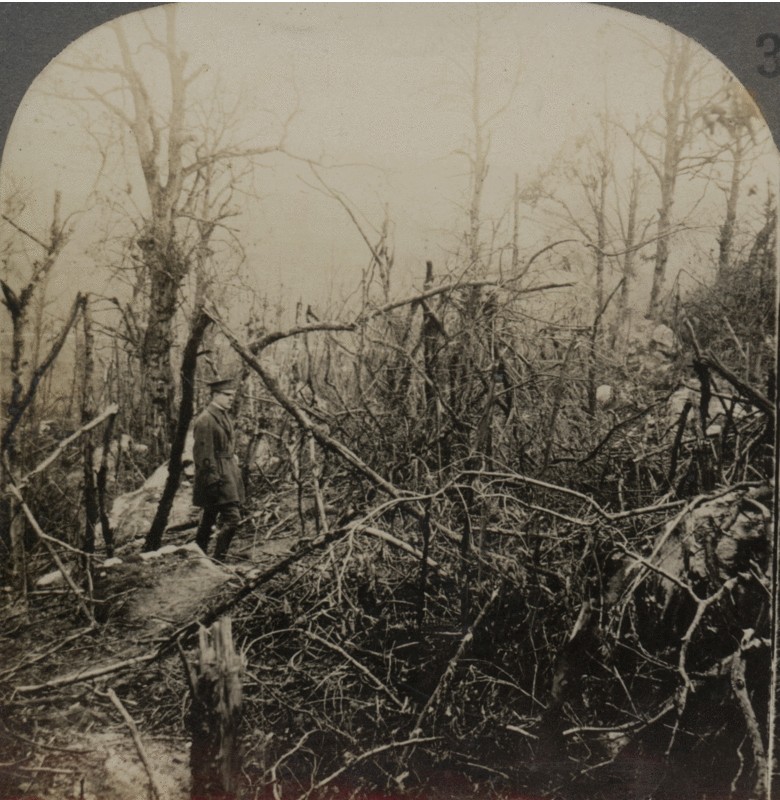 In Belleau Wood Where Americans gave Germany Her Fatal Check