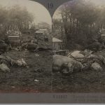 "Enemy Airmen Successfully Bombed One Of Our Supply Trains," Official Report