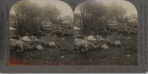 "Enemy Airmen Successfully Bombed One Of Our Supply Trains," Official Report