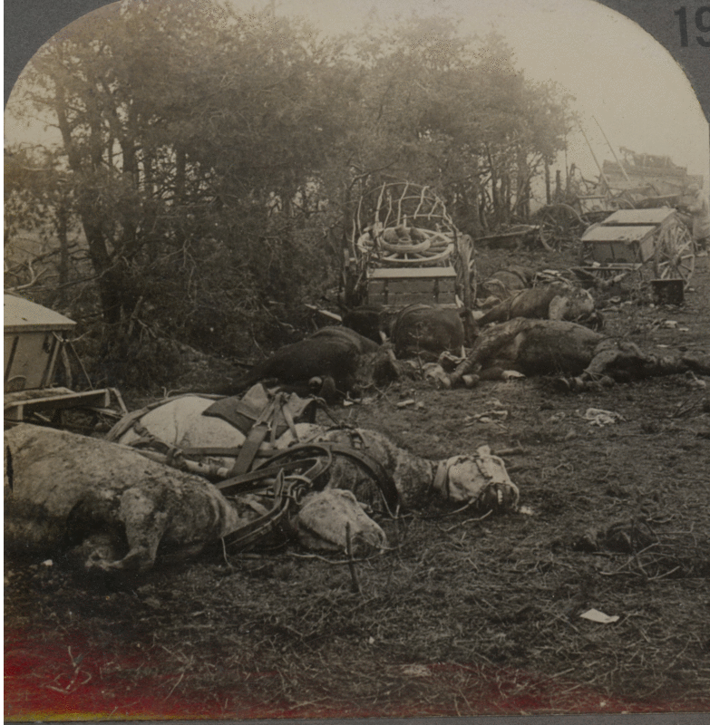 "Enemy Airmen Successfully Bombed One Of Our Supply Trains," Official Report