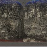 Building Barbed Wire Entanglements, Training Camp, Fort Sheridan, Ill.