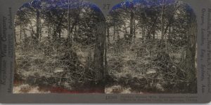 Building Barbed Wire Entanglements, Training Camp, Fort Sheridan, Ill.